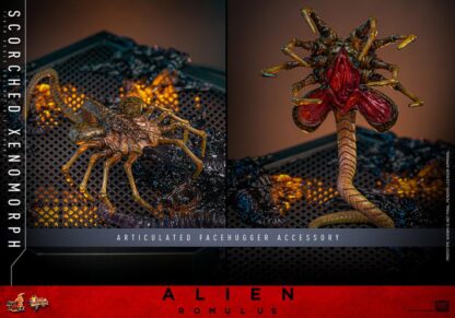 Hot Toys Alien Romulus Scorched Alien MMS784